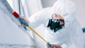 Best Residential Pest Control  in Edwardsvle, IL